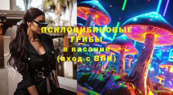 mdpv Волоколамск