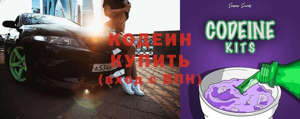спиды Вяземский