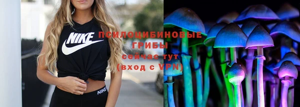 спиды Вяземский