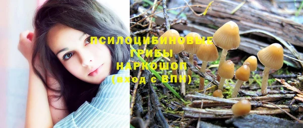 амф Вязники