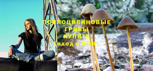 mdpv Волоколамск