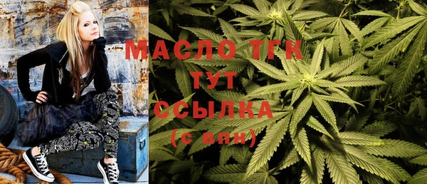 спиды Вяземский